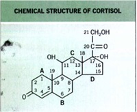 Topical steroids1