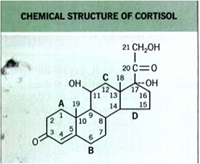 Topical steroids2
